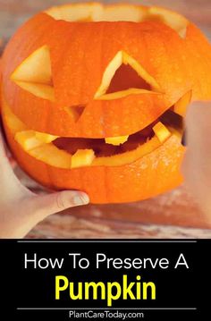 a person holding a pumpkin with the words how to preserve a pumpkin written on it