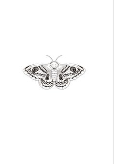 a black and white drawing of a moth