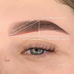 Big Bust Fashion, Instagram Brows, Brow Studio, Henna Brows, Permanent Makeup Eyebrows, Cat Eye Makeup, Brow Lash, Beauty Therapy, Brow Lamination