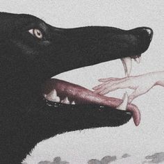 a black dog with it's mouth open next to a hand