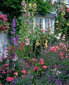 a garden filled with lots of colorful flowers next to a white building and trees in the background