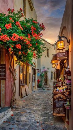 an alley way with flowers growing on it