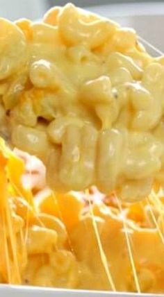 macaroni and cheese is being lifted from a white dish with melted cheese on top