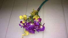 purple and yellow flowers are hanging from the side of a white door with green stems