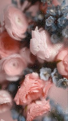 pink roses and blueberries are seen through the raindrops on a glass window