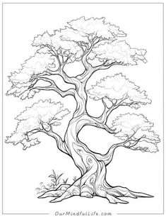 a drawing of a large tree with lots of leaves on the trunk and branches, in black and white