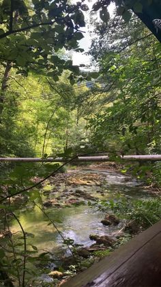 a stream running through a lush green forest