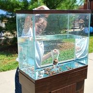 a young boy standing in front of a glass case filled with coins