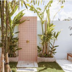 a pink tiled shower in the middle of some green plants and bamboo trees next to a white wall