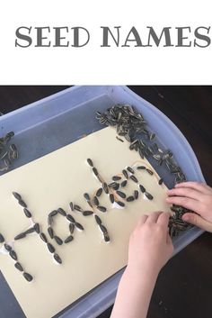 a child is working with seed names on a sheet of paper and spoons in the shape of letters