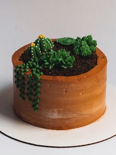 there is a cake with plants on it