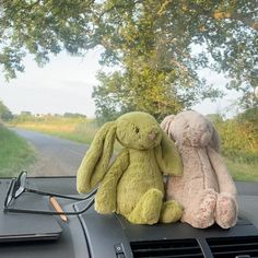 two stuffed animals sitting on the dashboard of a car