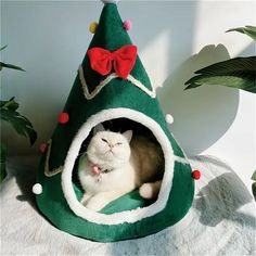 a white cat is sitting in a green christmas tree shaped bed with a bow on it's head