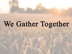 the words we gather together in front of an image of a field with wheat stalks