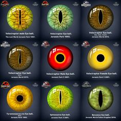 an image of different colored eyeballs in various sizes and colors, with the names below them