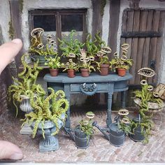 a miniature table with potted plants on it and a hand pointing at the top