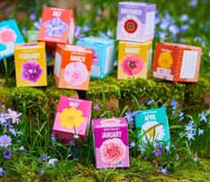 many colorful boxes are sitting in the grass with flowers around them and on top of each other