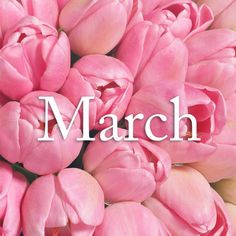 a bunch of pink flowers with the words march