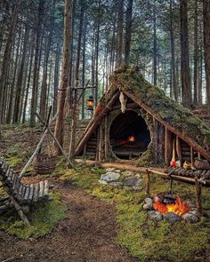 a small cabin in the woods with moss growing on it