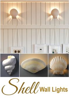 shell lights are hanging from the wall in different styles and colors, along with pictures of seashells