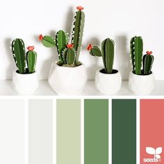 the color scheme is green, red and white with cactus in vases next to each other