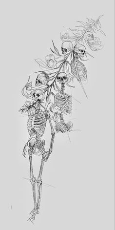 a drawing of a skeleton holding onto a flower