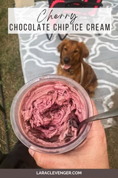 a person holding a bowl of chocolate chip ice cream with a dog in the background