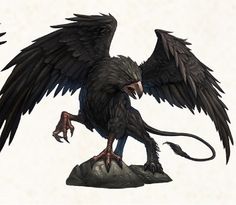 an image of a black bird with large wings on it's body and claws spread out