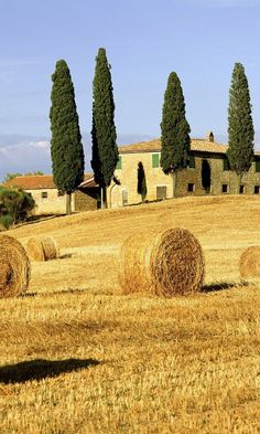 several bales of hay sitting in the middle of a field with houses and trees behind them