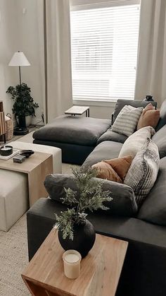 a living room with two couches and a coffee table in front of a window