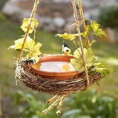 a bird feeder hanging from a tree filled with leaves and birds sitting on top of it