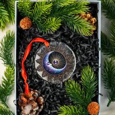 an ornament in a box surrounded by pine cones