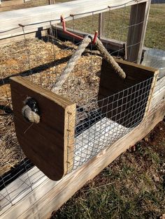 a small bird in a cage on the side of a wooden fence with grass and hay