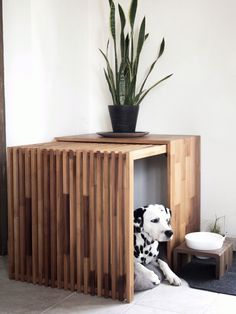 a dog sitting in a wooden crate next to a potted plant on top of a table