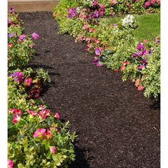 a garden filled with lots of flowers next to a sidewalk