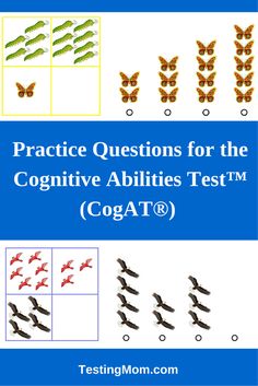 an image of the words practice questions for the cognitive abilities test coat