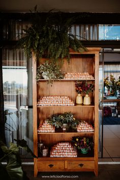 a wooden shelf filled with lots of plants