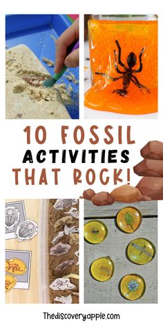 10 fossil activities for kids that are fun and easy to do with their own hands