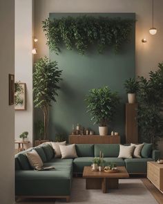 a living room with green walls and plants on the wall, couches and coffee table