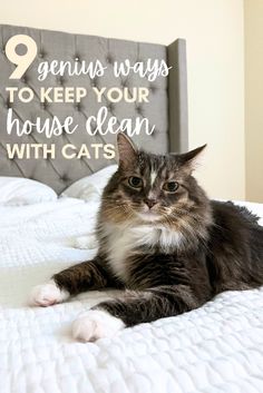 a cat laying on top of a bed with the words 9 genius ways to keep your house clean with cats