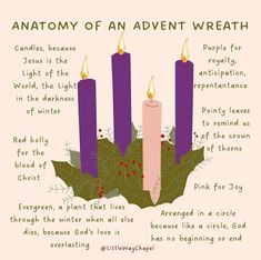 three candles with holly leaves on them and the words anatomy of an adent wreath