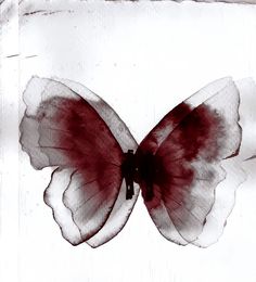 a black and white photo of a butterfly with red markings on it's wings