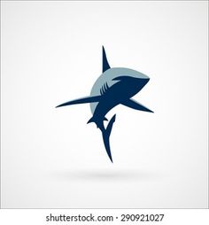 an image of a shark on white background