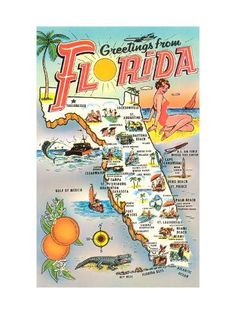 an illustrated map of florida with all the major cities and towns on it's side