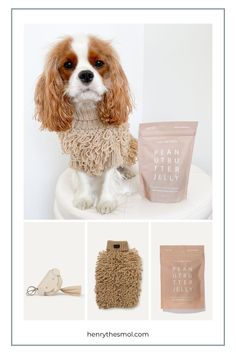 a dog sitting on top of a white toilet next to a bag and some items