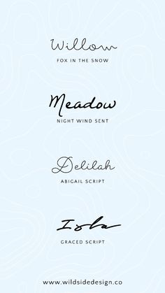 three different types of font and numbers on a blue background with the words meadow, beleah, graced script