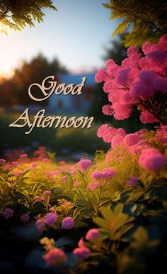 the words good afternoon are surrounded by pink flowers and greenery in front of a sunset