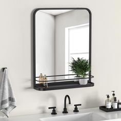 a bathroom sink with a mirror above it and a plant in the corner next to it