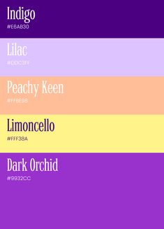 four different font styles in shades of purple, pink, yellow and green with the names of each type