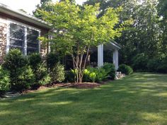 a house with trees and bushes in the front yard